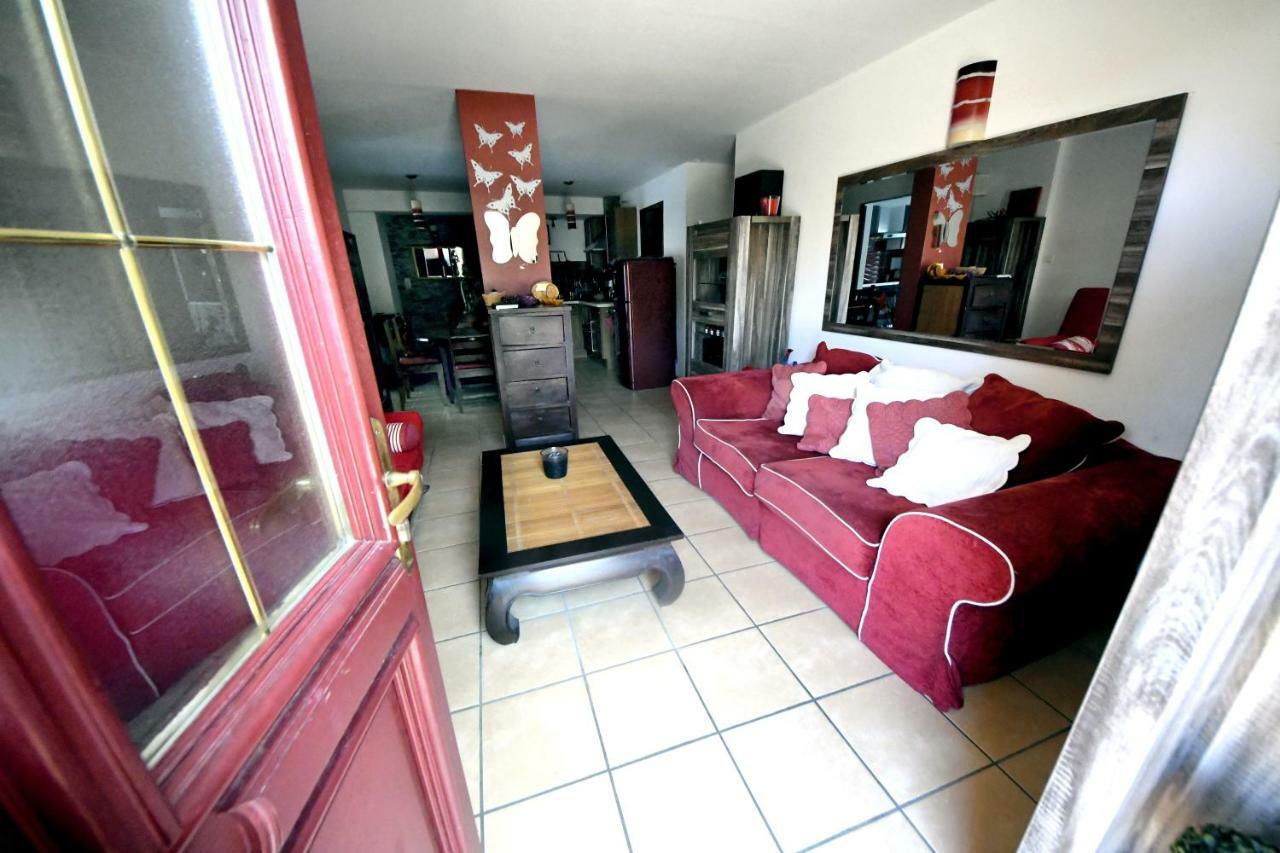 Chambres D'Hotes Des Huppes ニーム エクステリア 写真