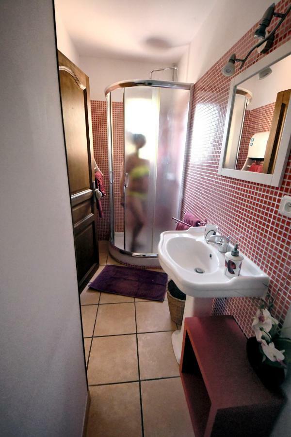 Chambres D'Hotes Des Huppes ニーム エクステリア 写真